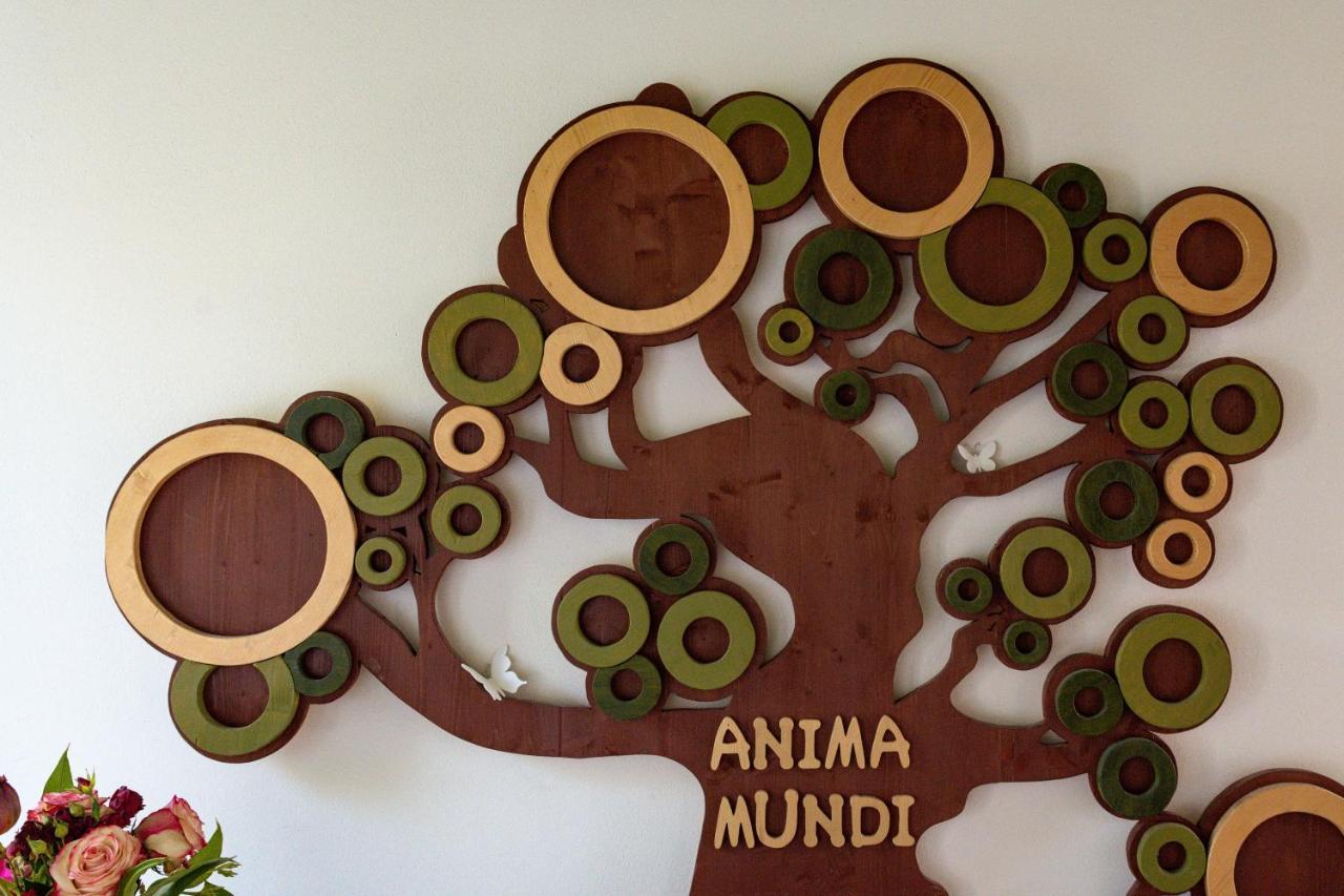 Bed and Breakfast Anima Mundi Curtatone Екстер'єр фото