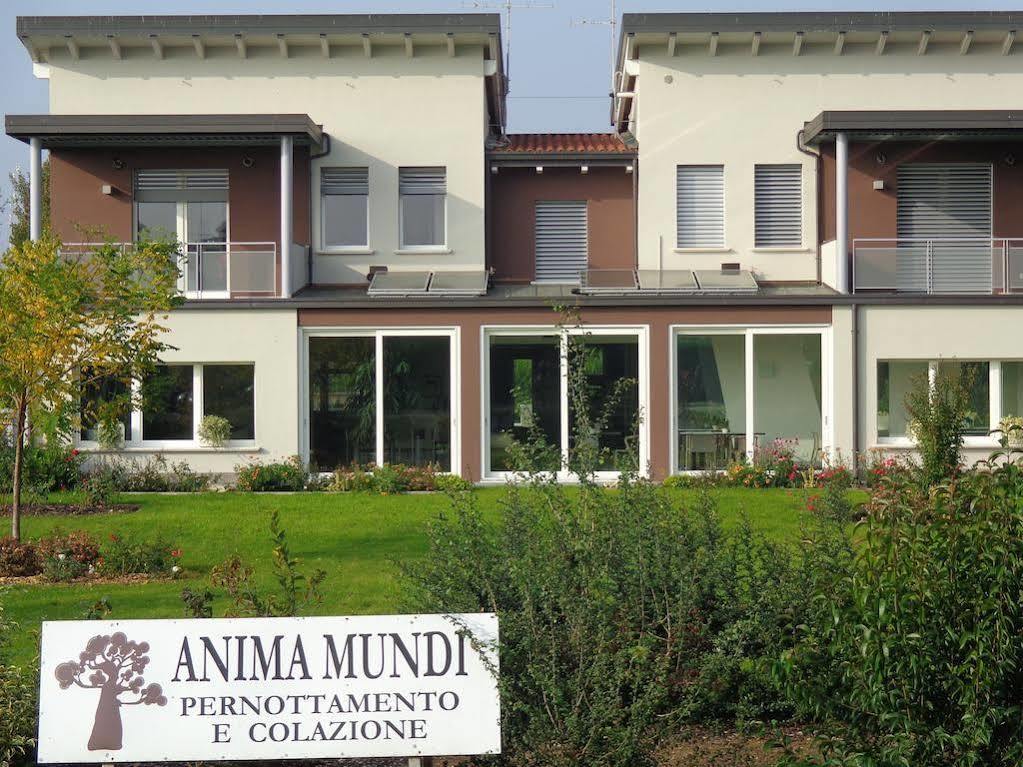 Bed and Breakfast Anima Mundi Curtatone Екстер'єр фото